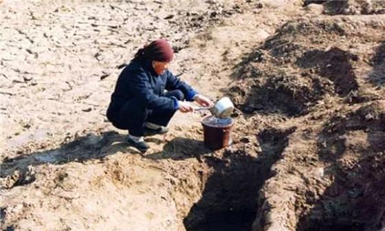 盐碱地变沃土 小开河引黄灌区促滨州经济、生态同步振兴